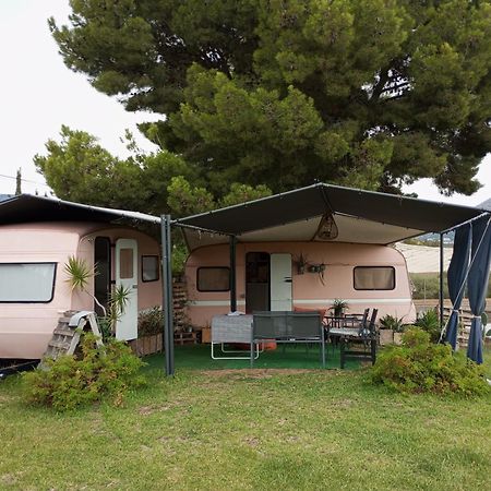 La Nucía Caravana- Glamping Casa Tortuga מראה חיצוני תמונה