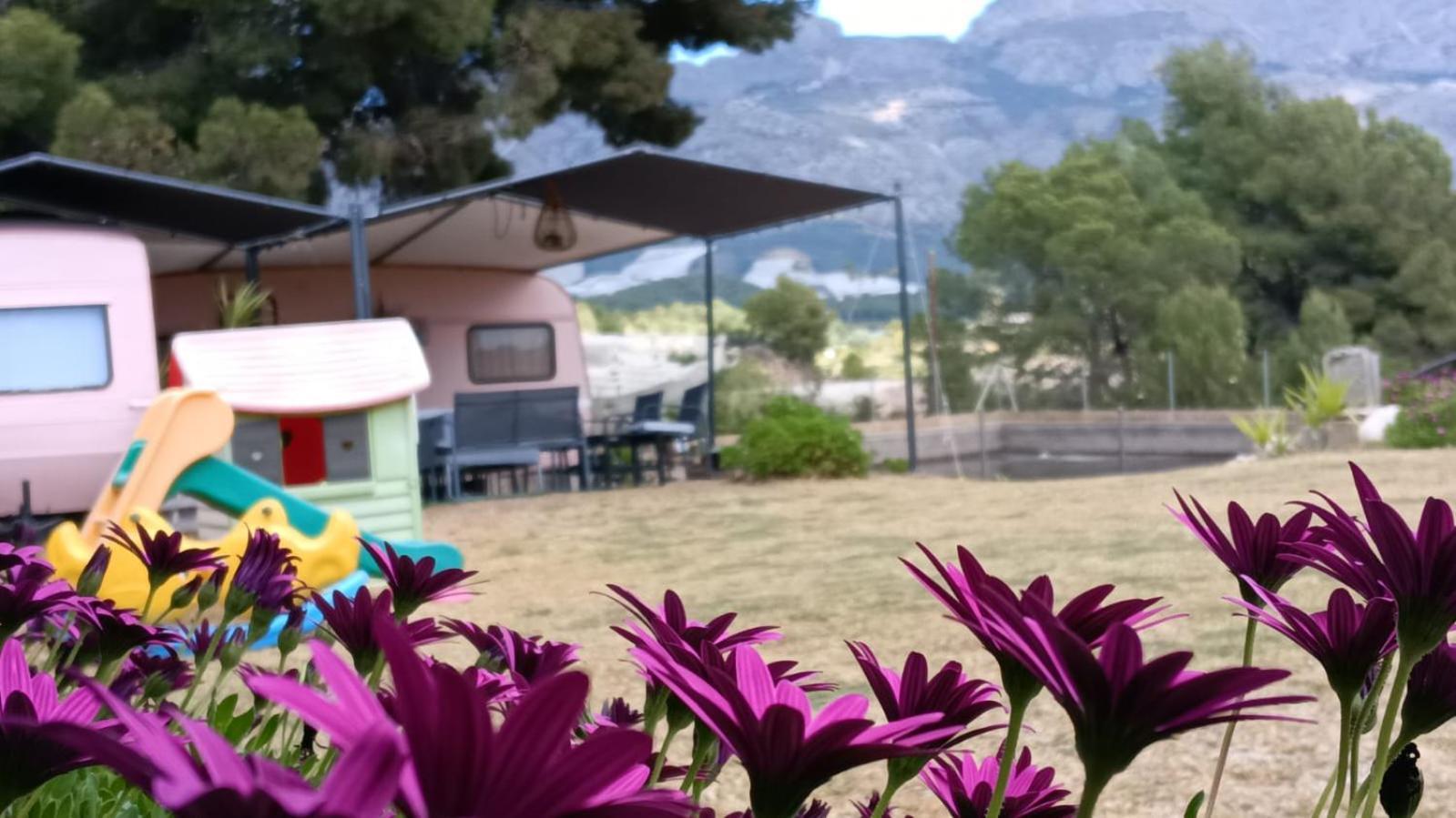 La Nucía Caravana- Glamping Casa Tortuga חדר תמונה